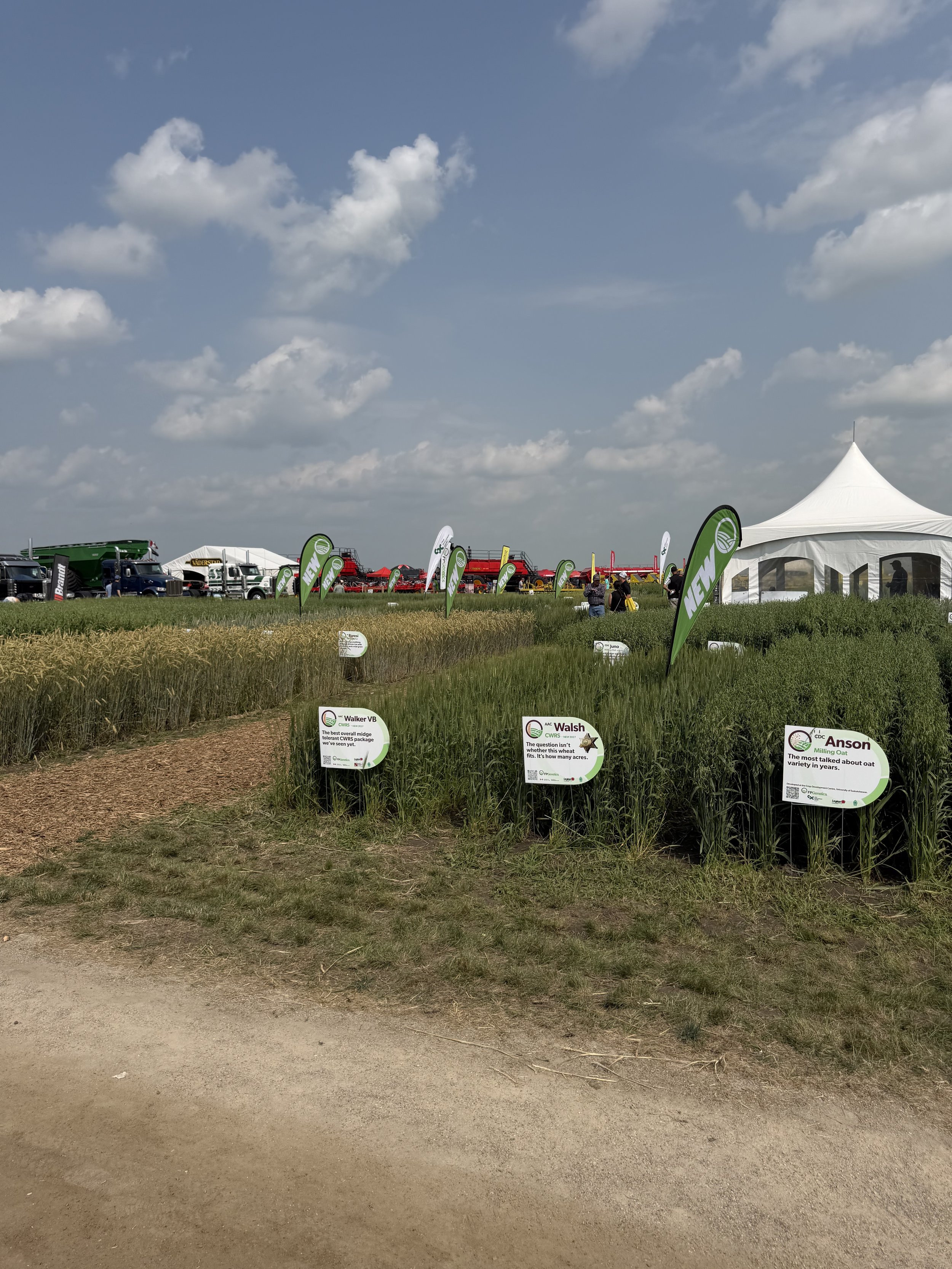 Beyond Fertilizer: Building Healthy Soils