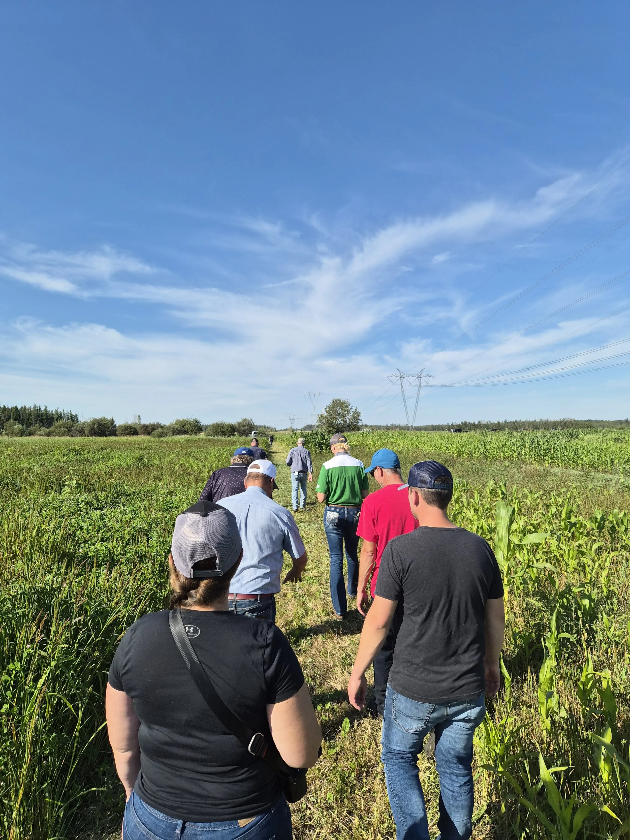 What Can We Learn When the Crop Doesn’t Go According to Plan?