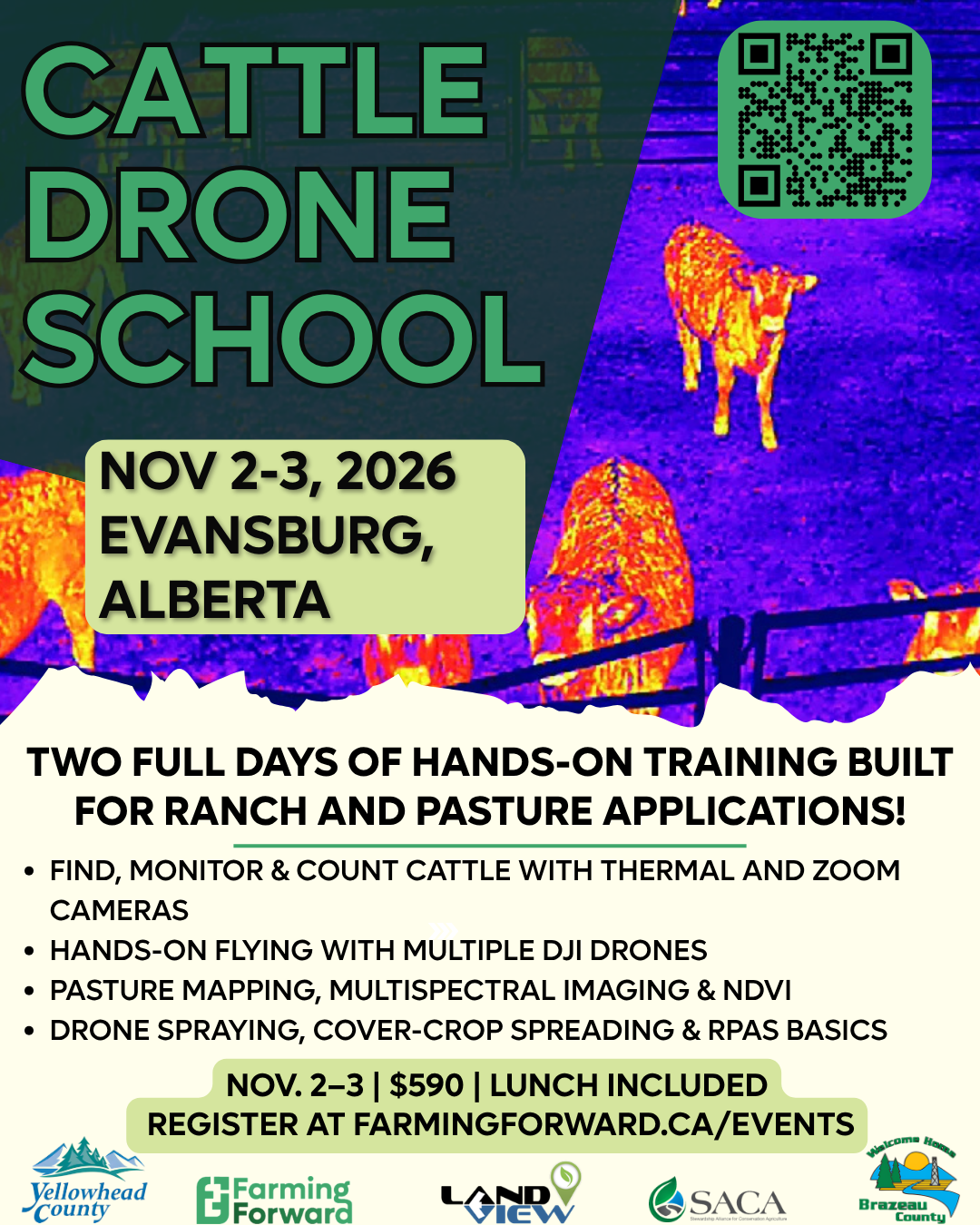 Cattle Drone School