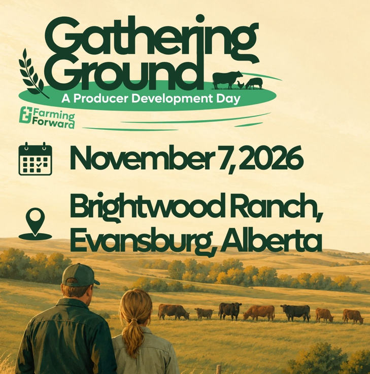 Gathering Ground 2026 