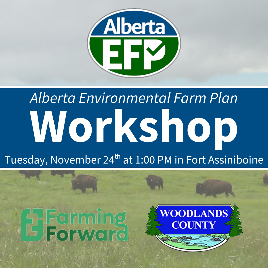 EFP Workshop