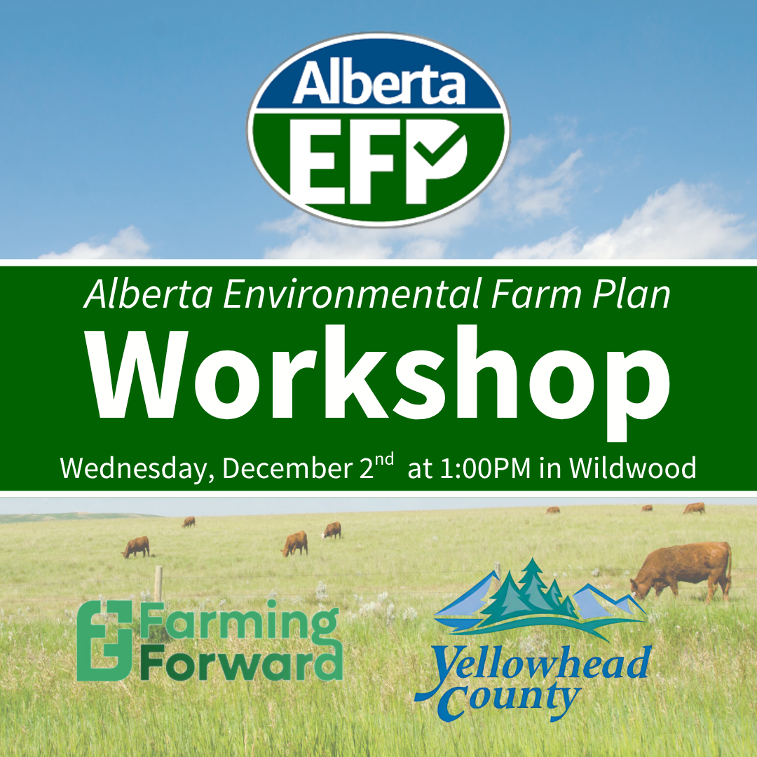 EFP Workshop in Yellowhead County
