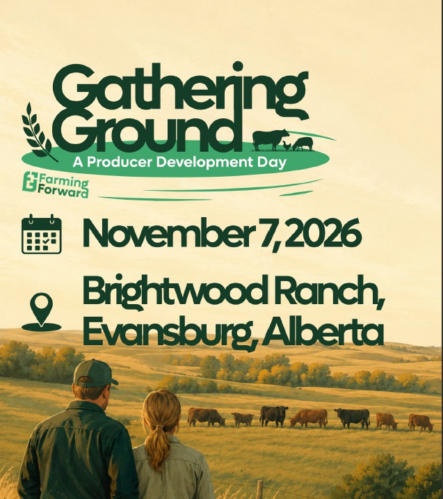 Gathering Ground - A Producer Development Day