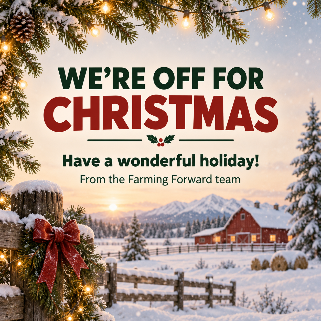 Merry Christmas!