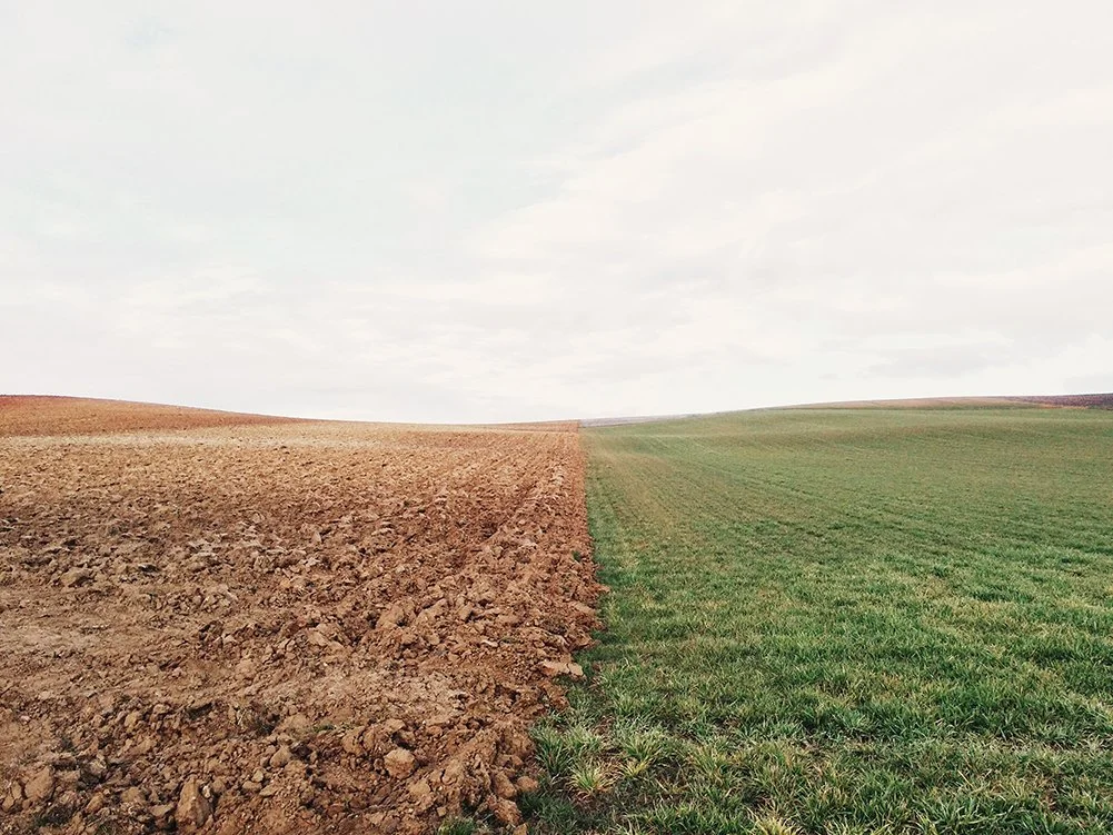 A split landscape showing a brown plowed field on the left and a green grassy field on the right under a cloudy sky.