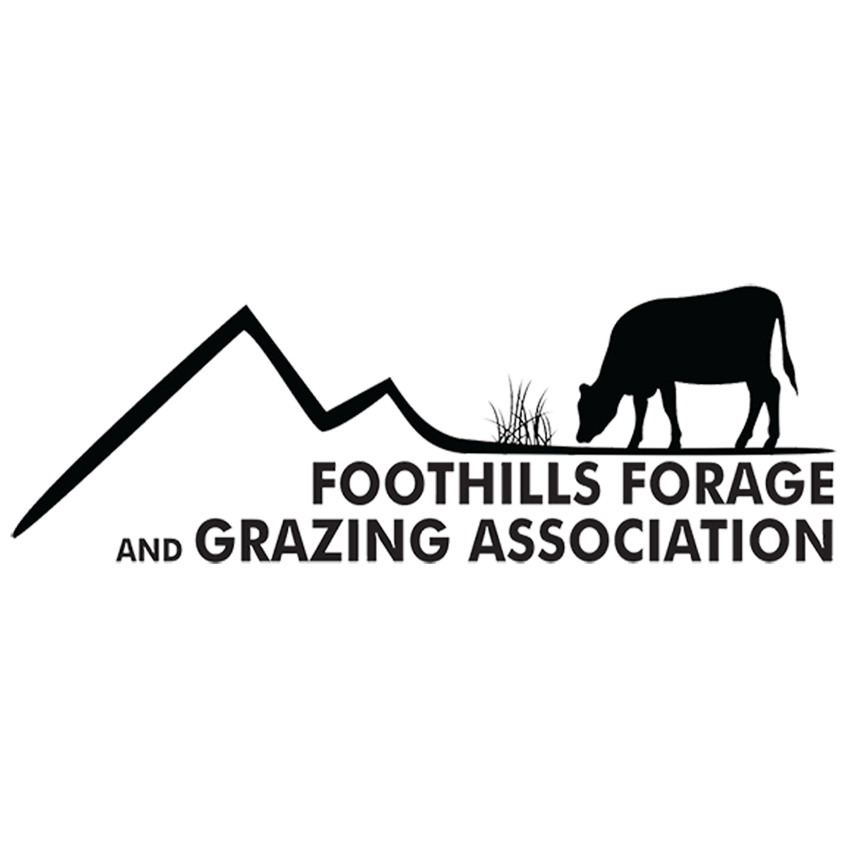 Logo of Foothills Forage and Grazing Association, featuring a mountain outline, a cow grazing, and the organization name.