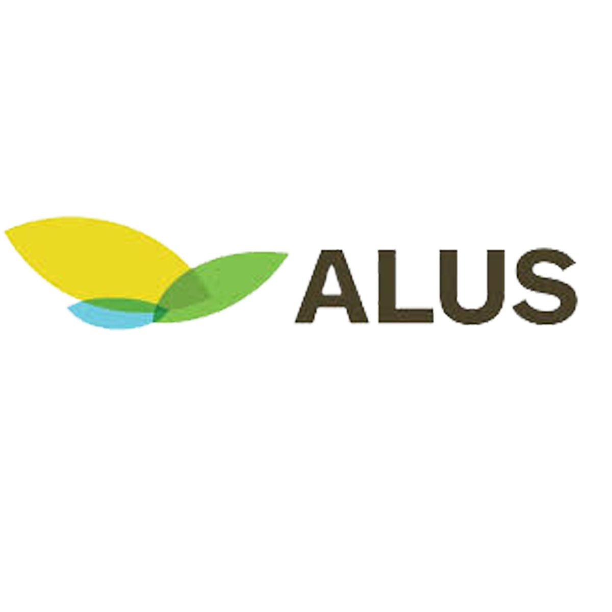 Logo with stylized green, yellow, and blue leaves and the word 'Alaus' in black capital letters.