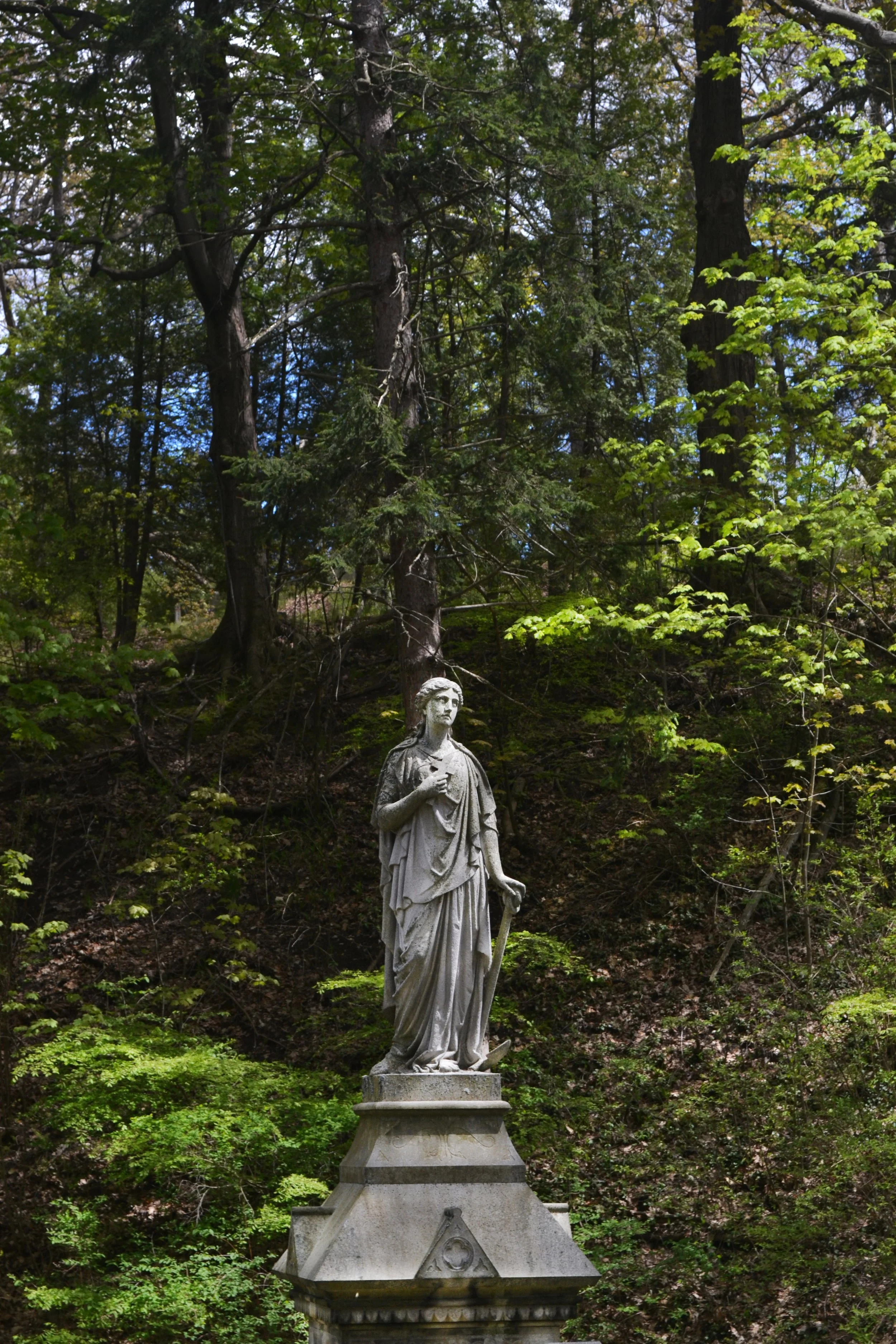 looking to the heavens.jpg