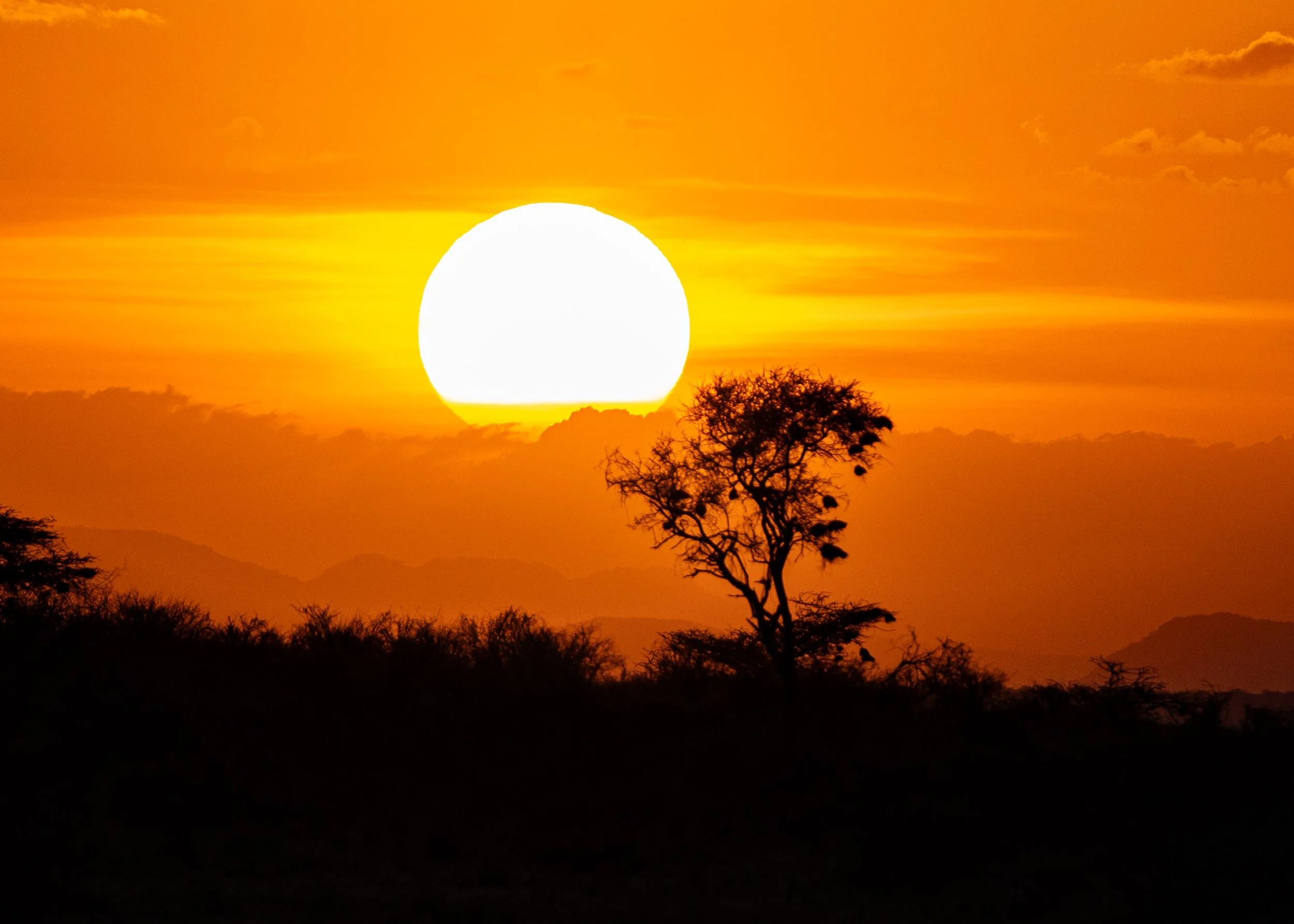 Kenya site-04.jpg
