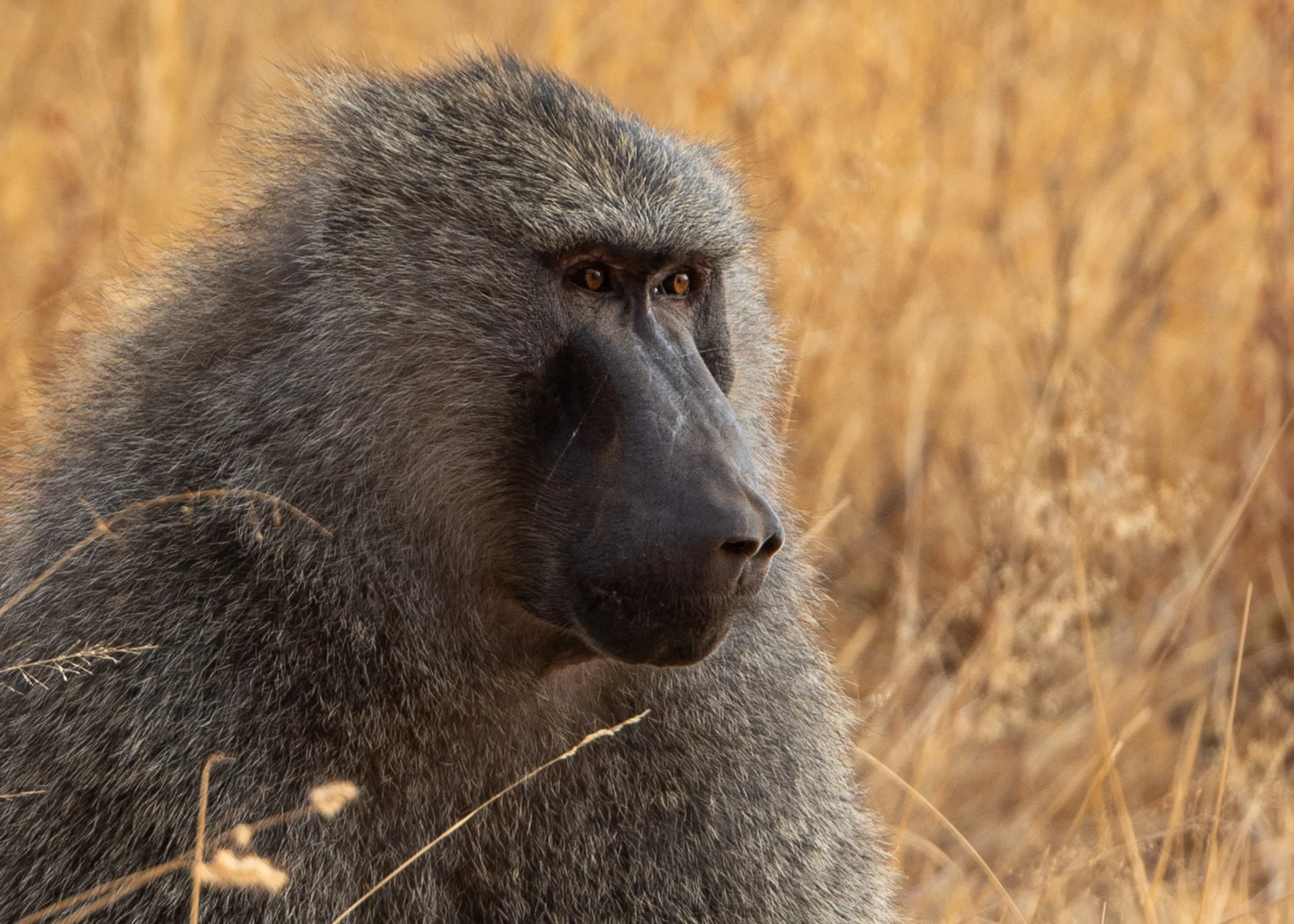 Kenya site-08.jpg