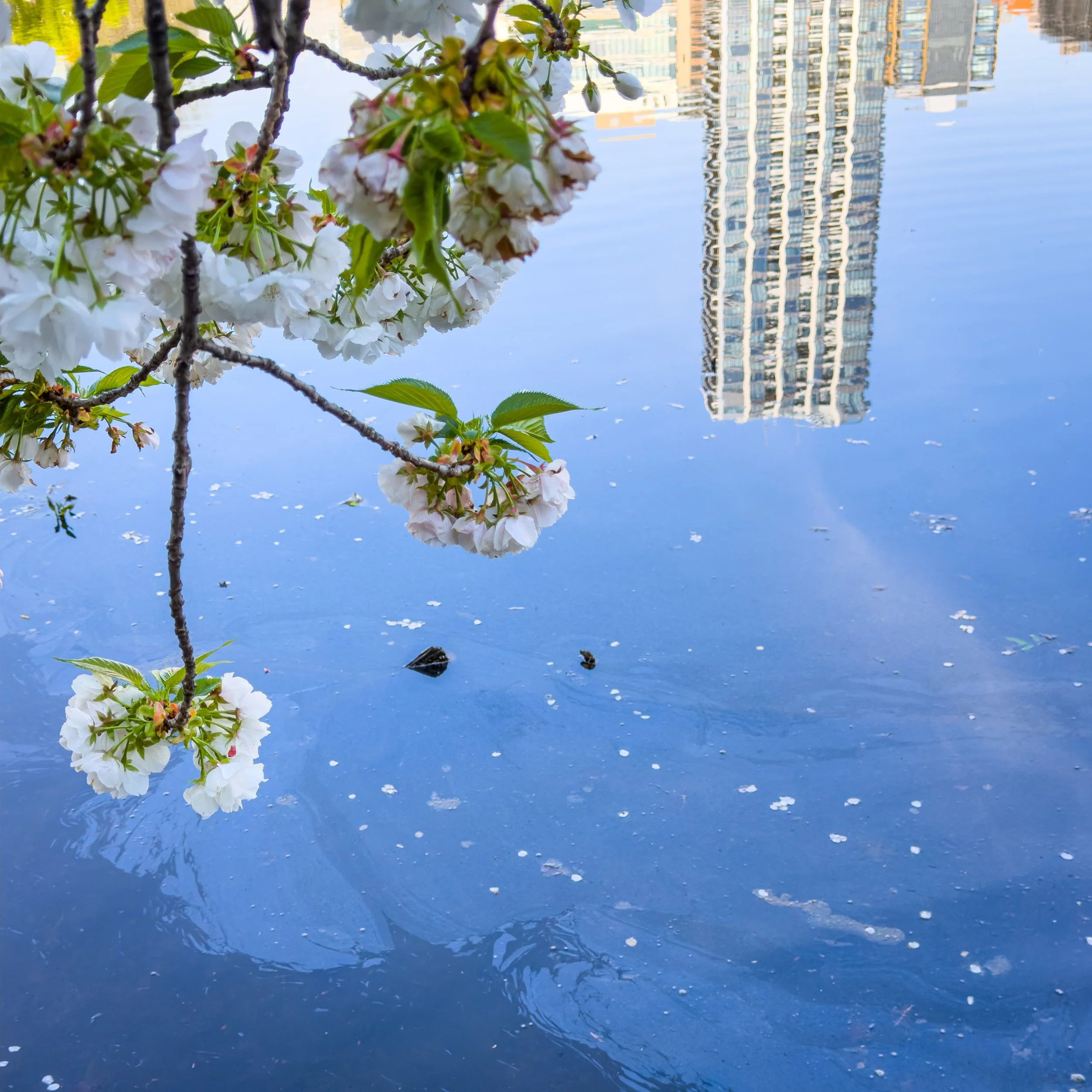 What Is Mindful Photography? And Why It Matters More Than Ever