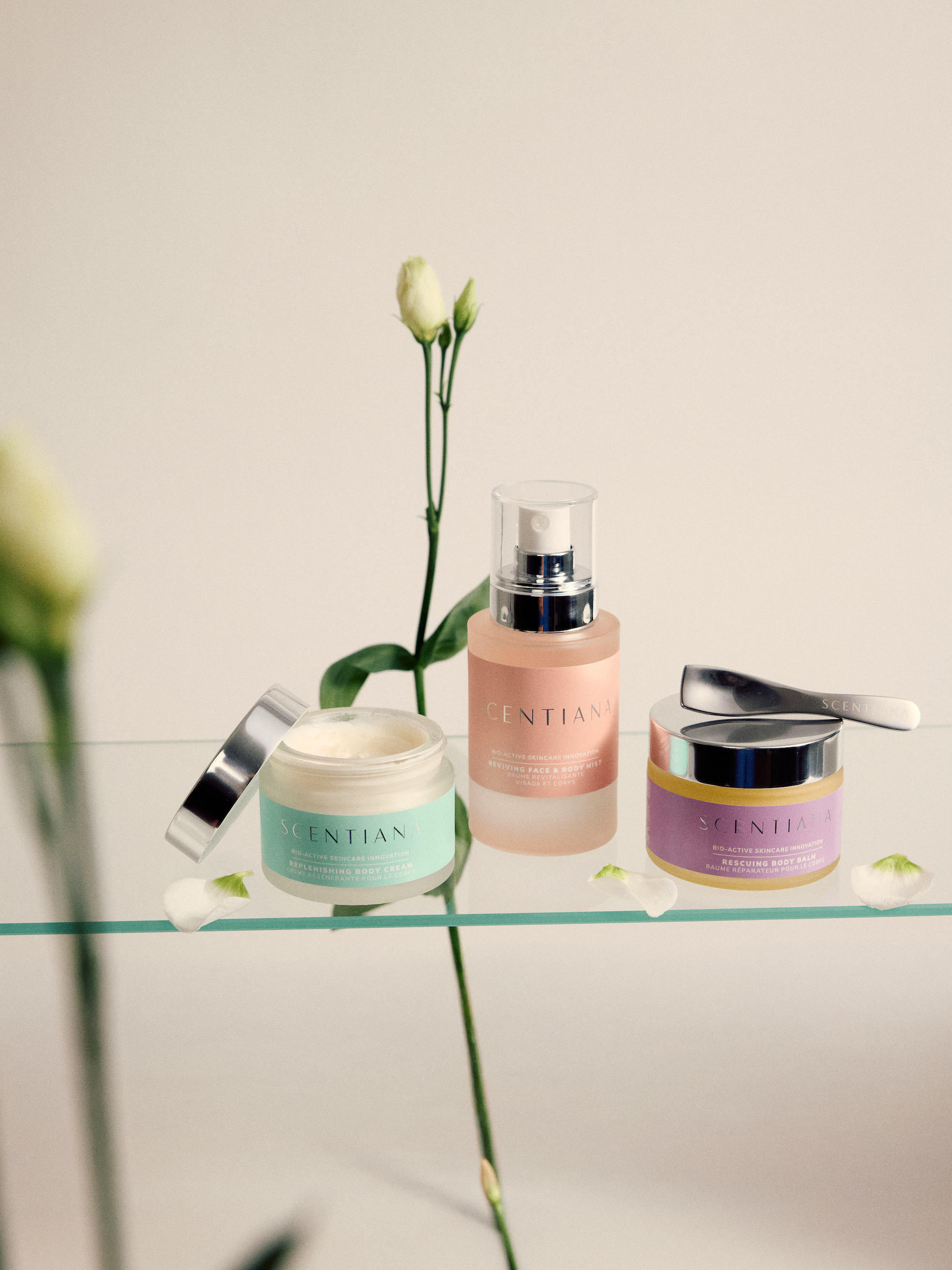 Scentiana026076 1.png