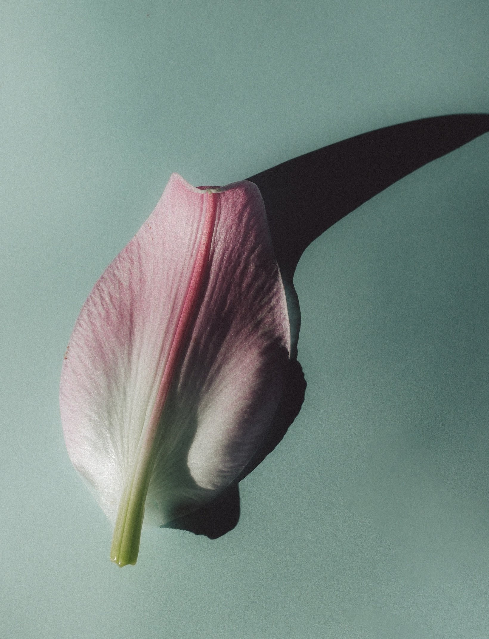 011_MagdaUherek copy.jpg