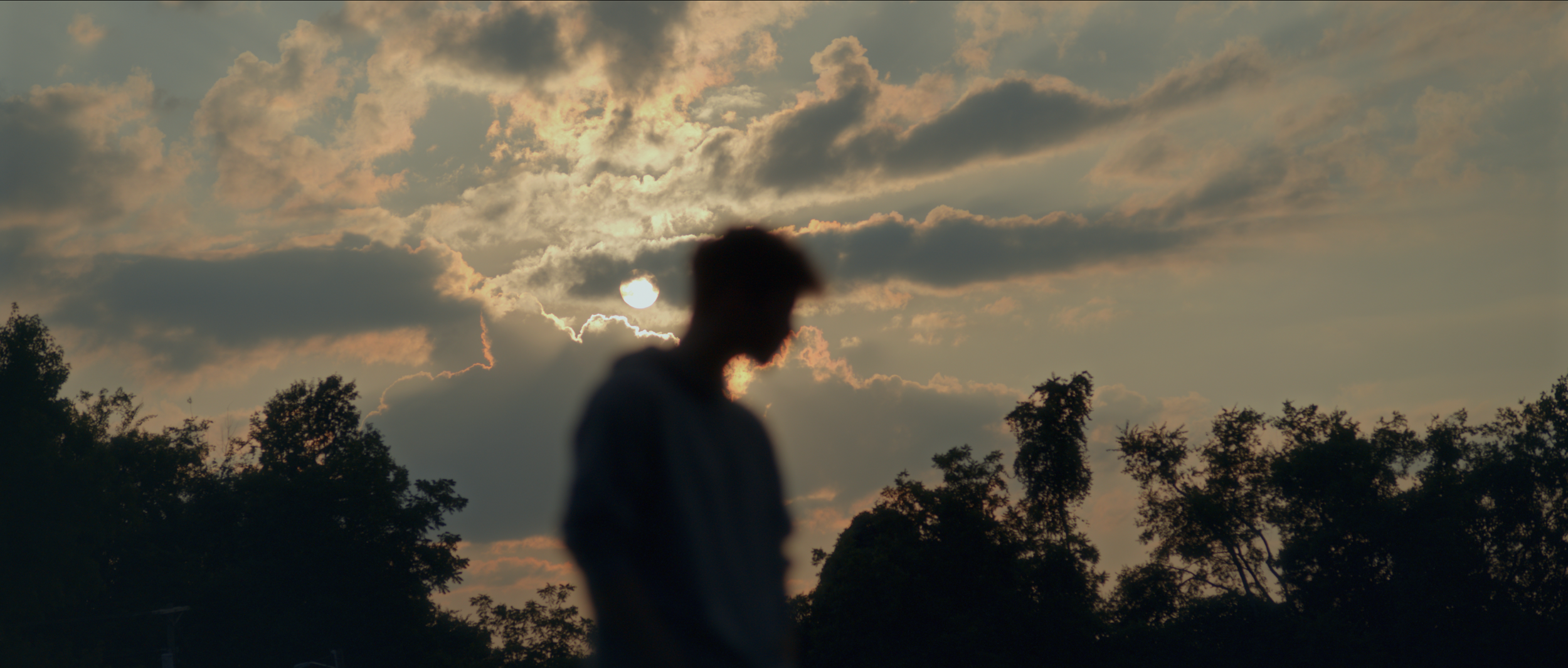 Screenshot 2024-08-05 at 12.13.35 AM.png