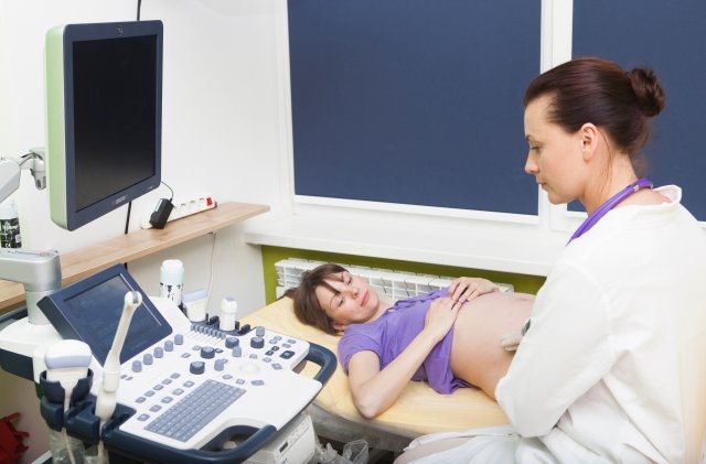 家族づくりを支える連携：ACRC Surrogacyと一流IVF専門医のパートナーシップ