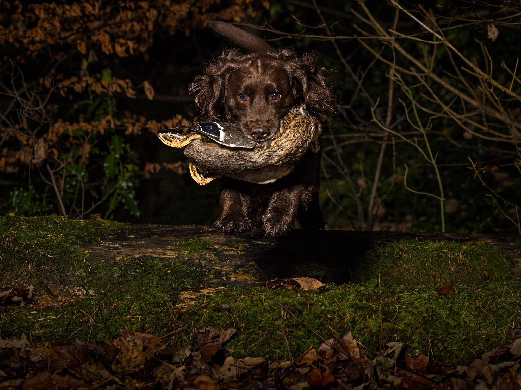 untitled-8482-Edit copy.jpg