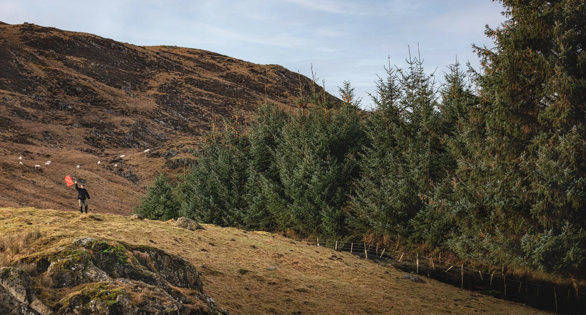 Clova-1471-Edit-Edit.jpg