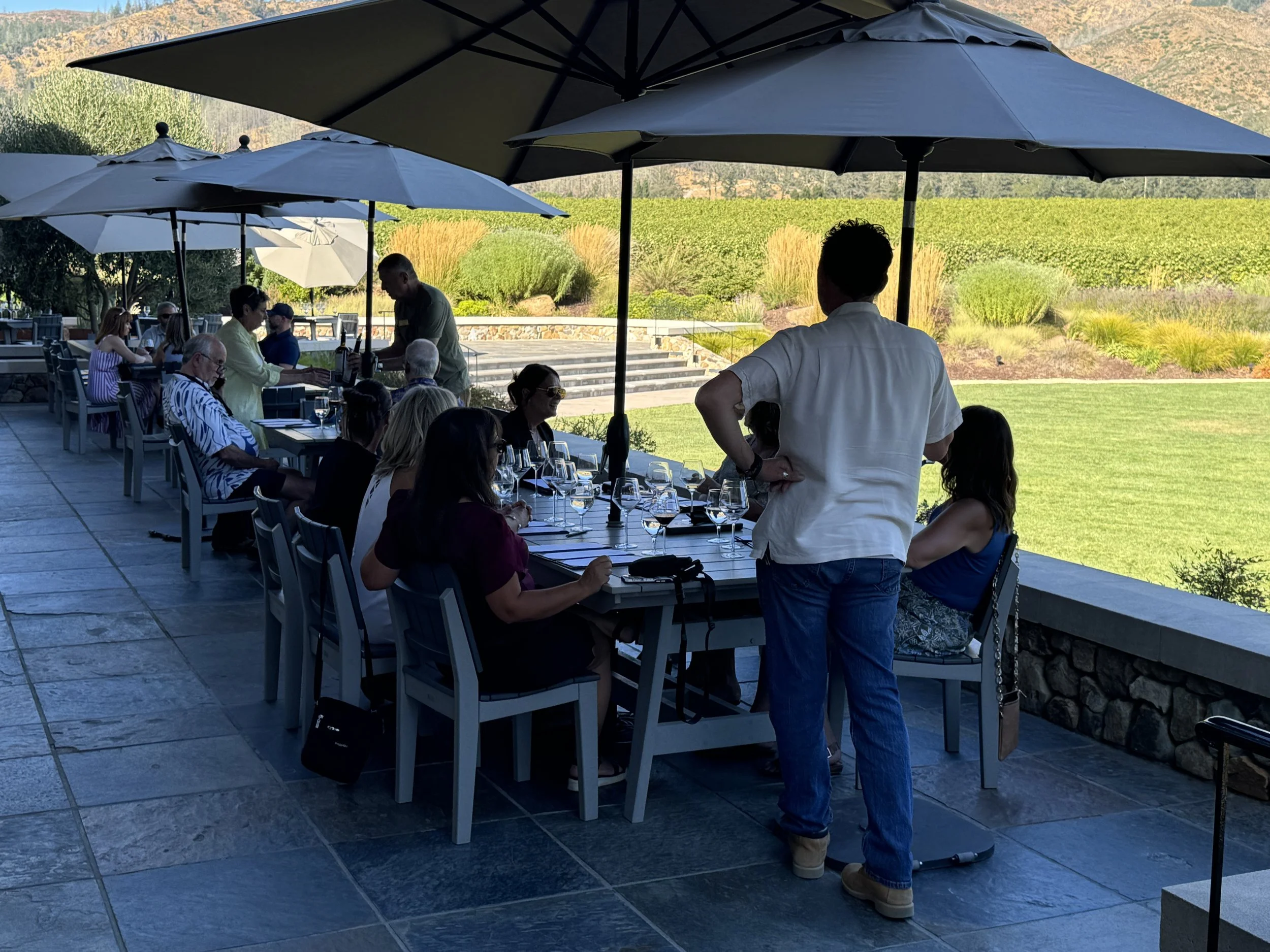 Professional Napa Valley tours and transportation service