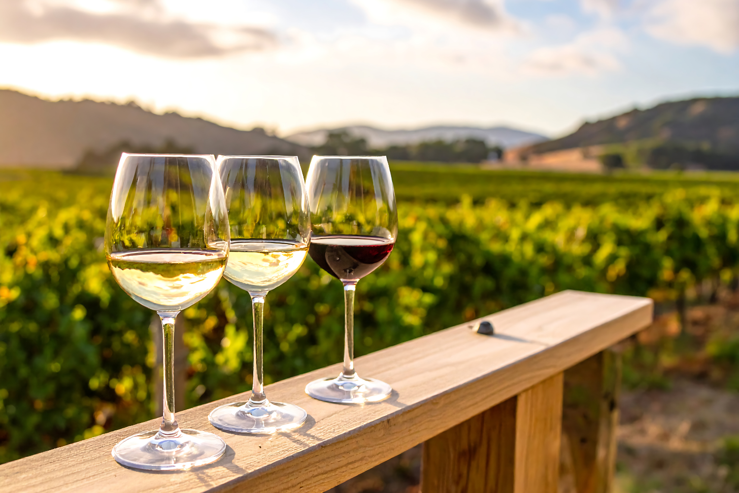 How to Coordinate Tasting Reservations for a Smooth Wine Tour Day