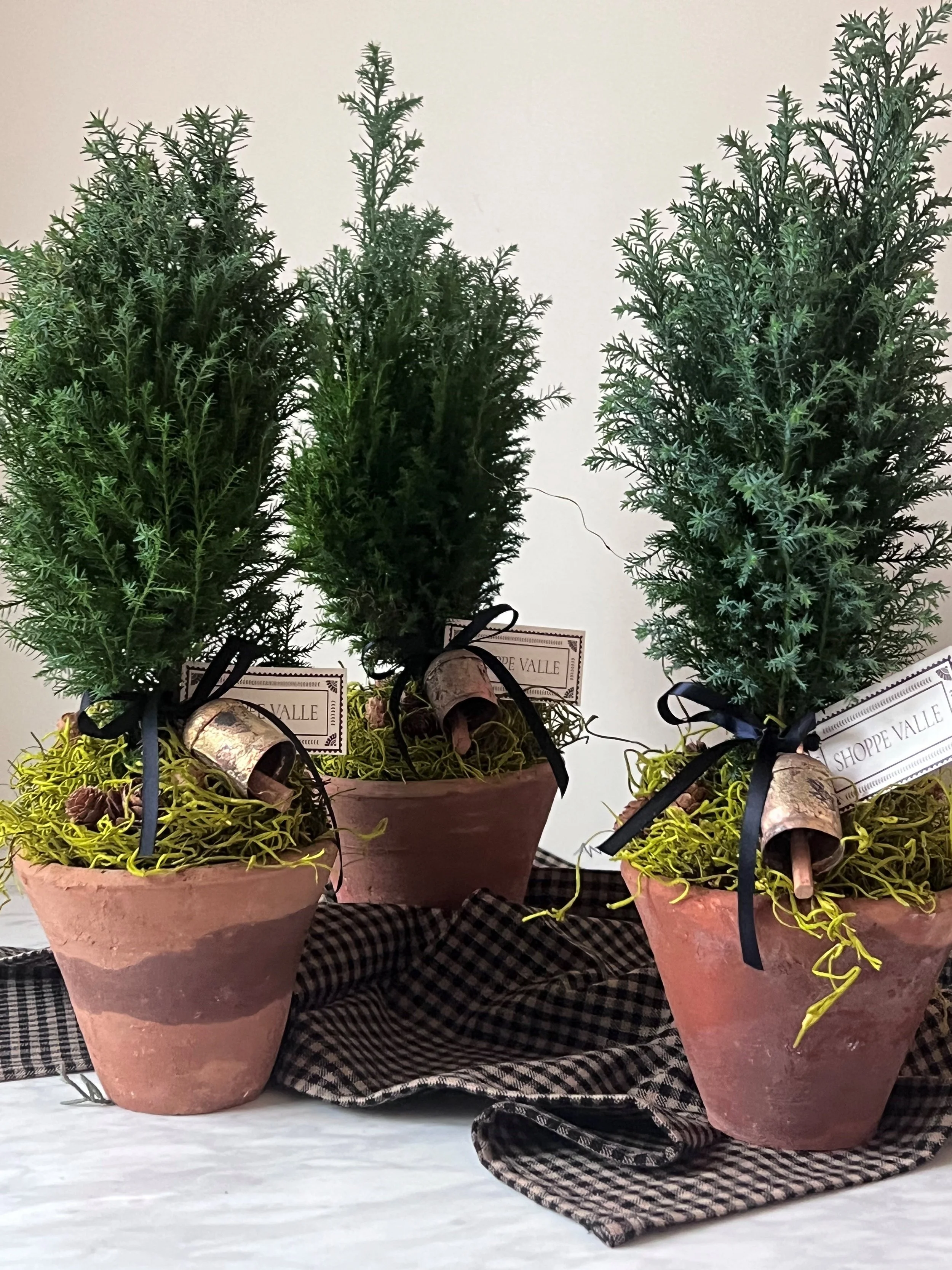 Cedar Holiday Tree in Vintage pot