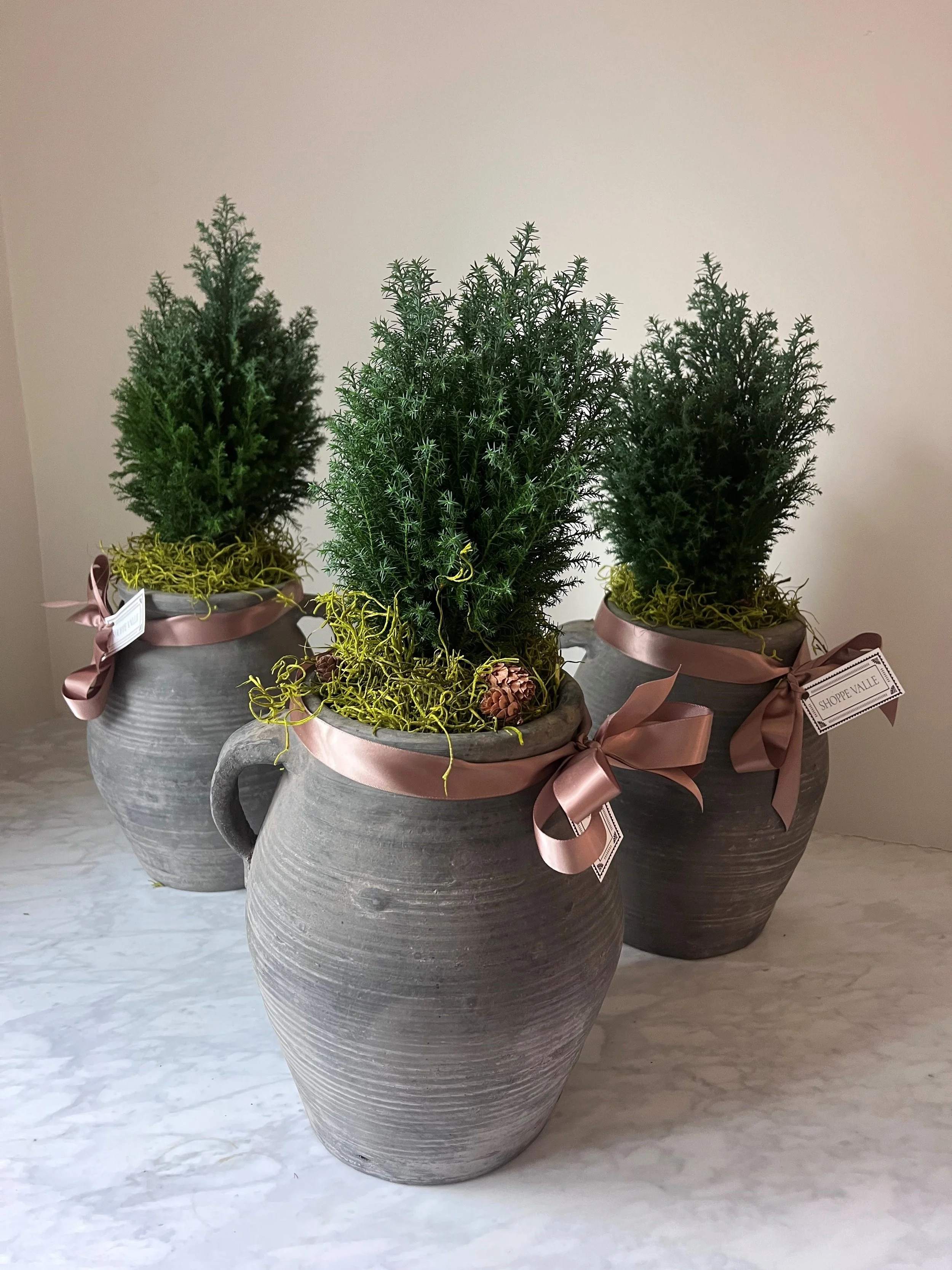 Cedar Holiday Tree in Single Handle Pot