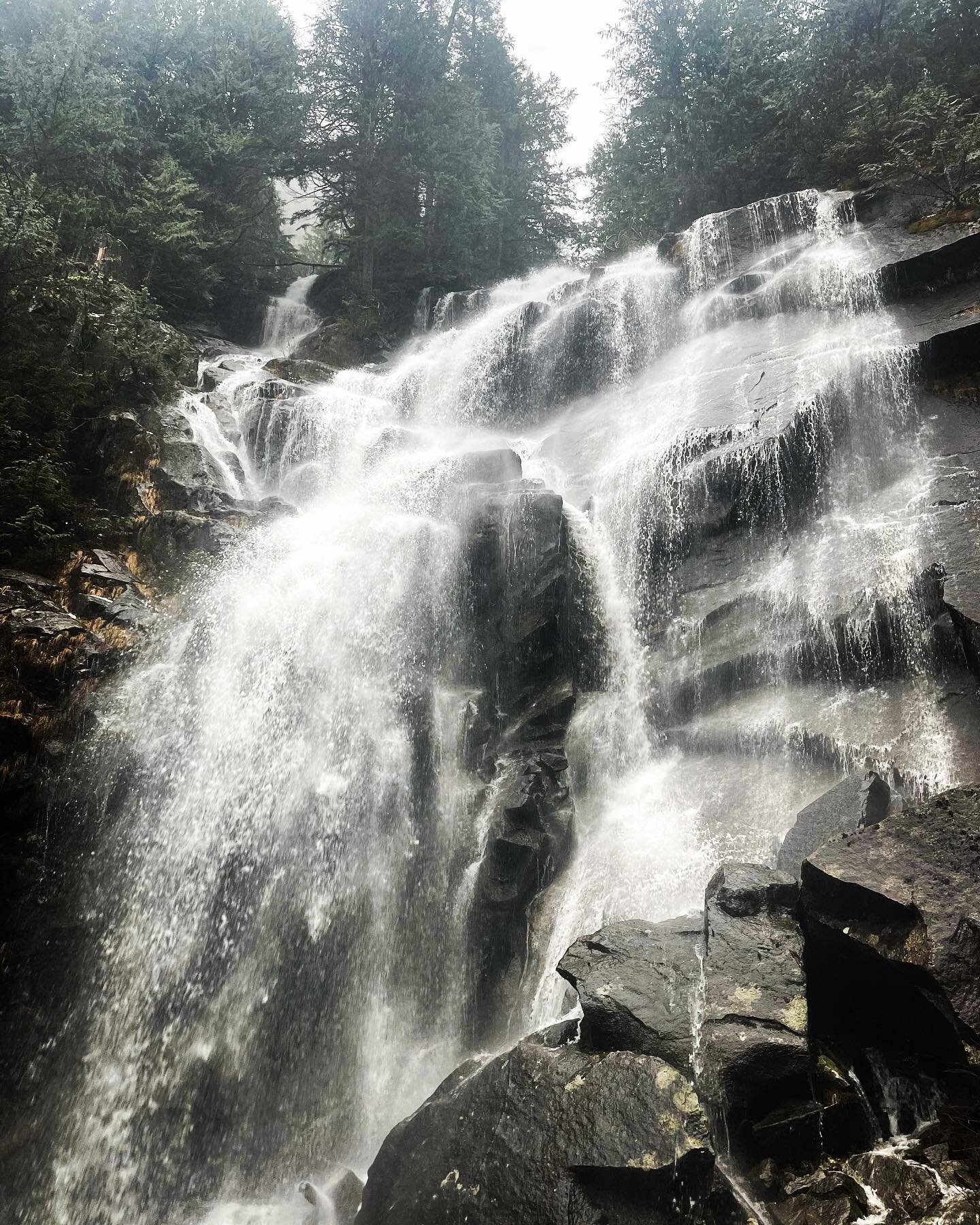 &ldquo;As long as I live, I&rsquo;ll hear waterfalls and birds and winds sing. I&rsquo;ll interpret the rocks, learn the language of flood, storm, and the avalanche. I&rsquo;ll acquaint myself with the glaciers and wild gardens, and get as near the h