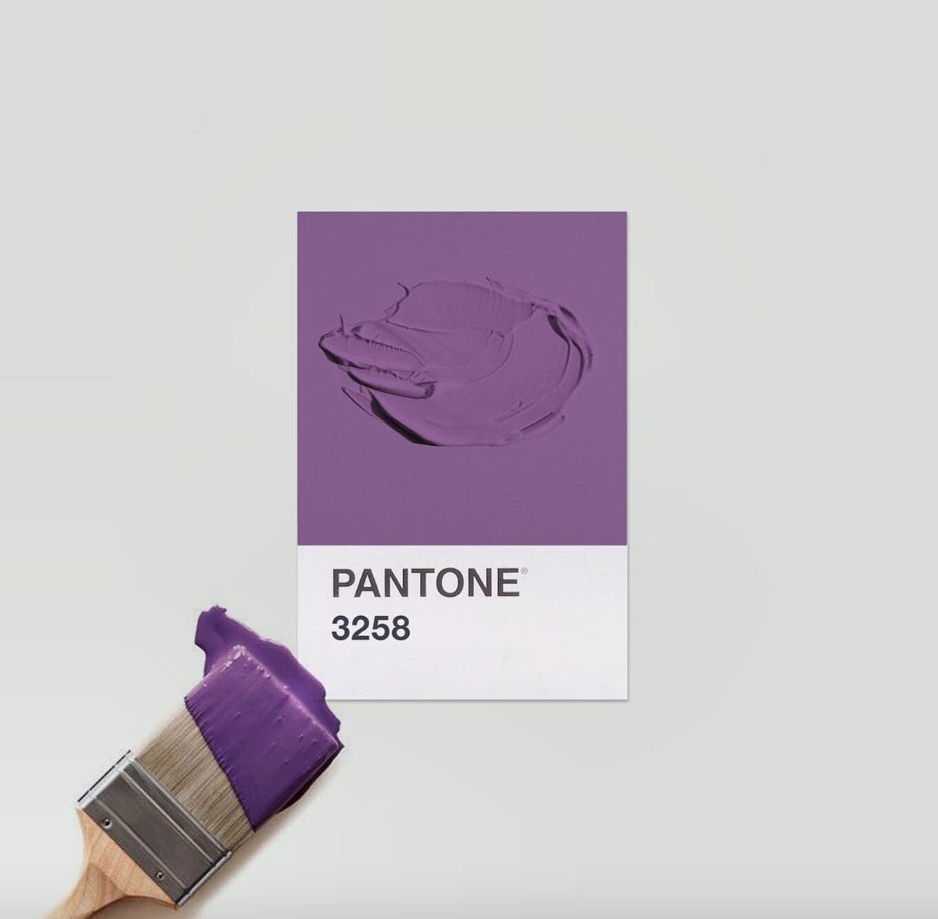 image-asset+(2).jpeg