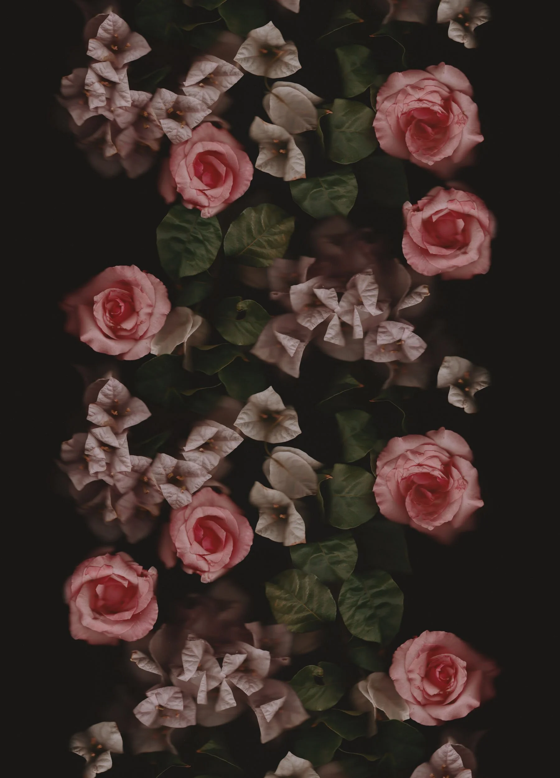 Inspiration 02 / Cocorrina