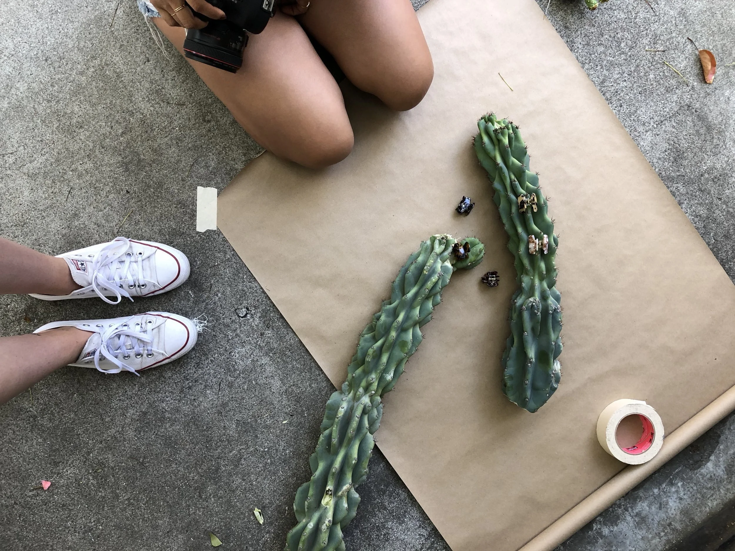 Why You Should Take Time to Shoot for Fun — Saturday School