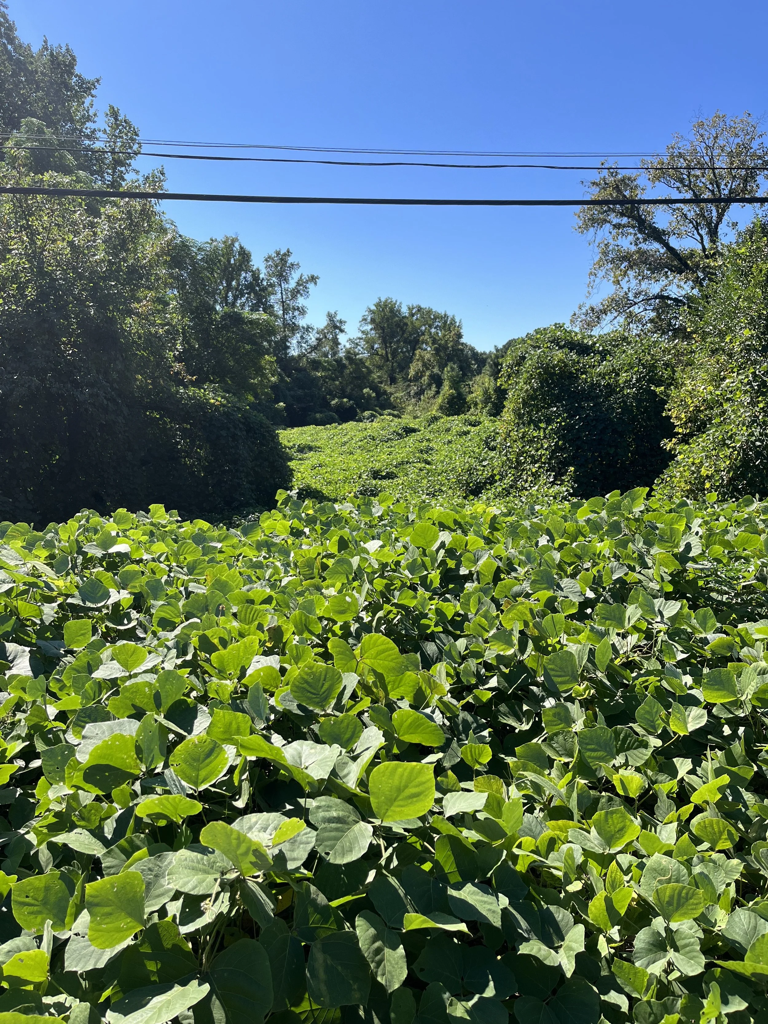 The Day I Stopped Explaining Myself