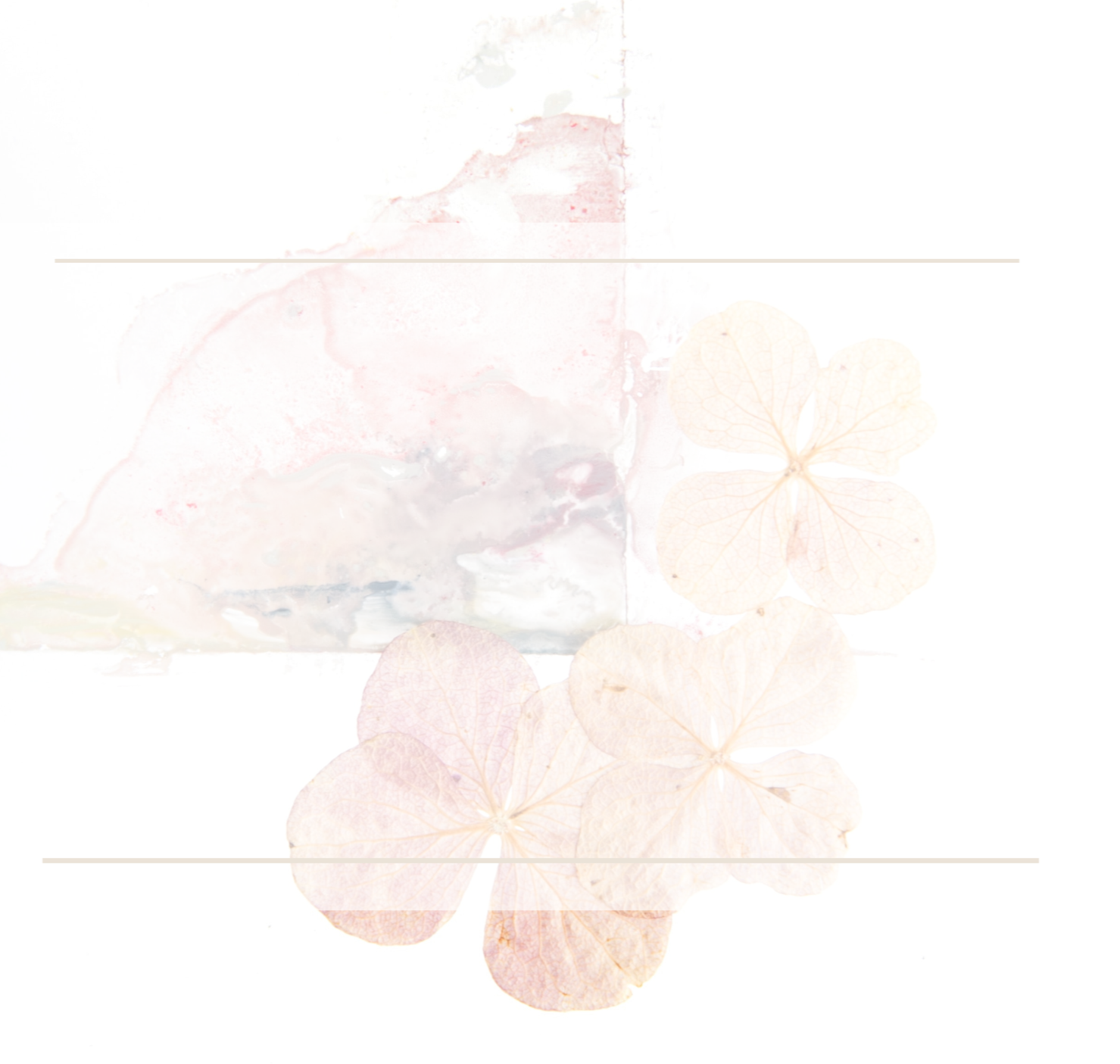 Faded image of a slice of cake with pink and red icing, and three light-colored hydrangea flowers layered over the cake image on a white background.