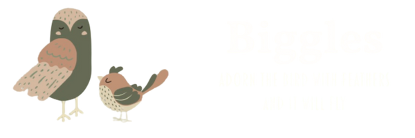 Biggles Early Learning 