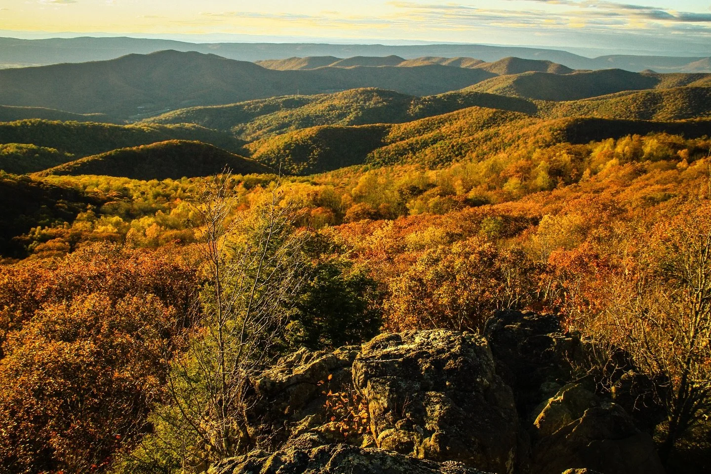 Capture the last of the fall scenery from Shenandoah National park to close out your week! From Swift Run Gap to Bearfence Mountain, you are sure to find some great views! 🍂