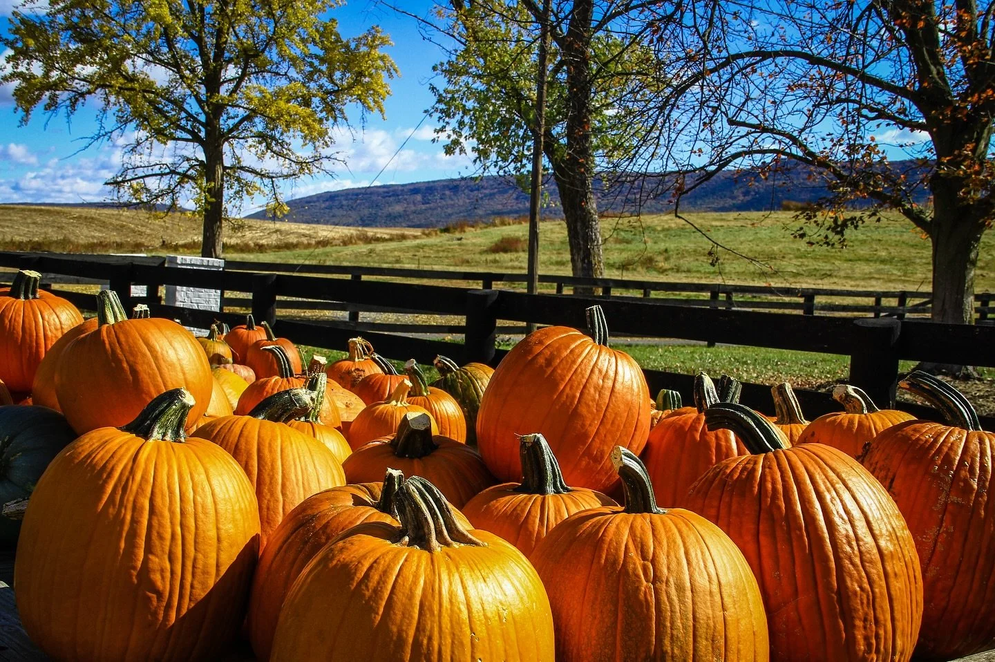 The colors of fall are starting to put on a show throughout Rockingham County! 🍁🍂#loveva #visitrockingham #virginiasshenandoahvalley