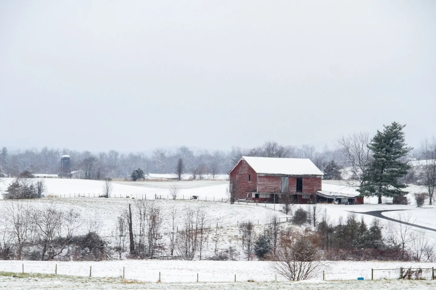 The first snow of the season left a nice little blanket across Rockingham County ❄️
