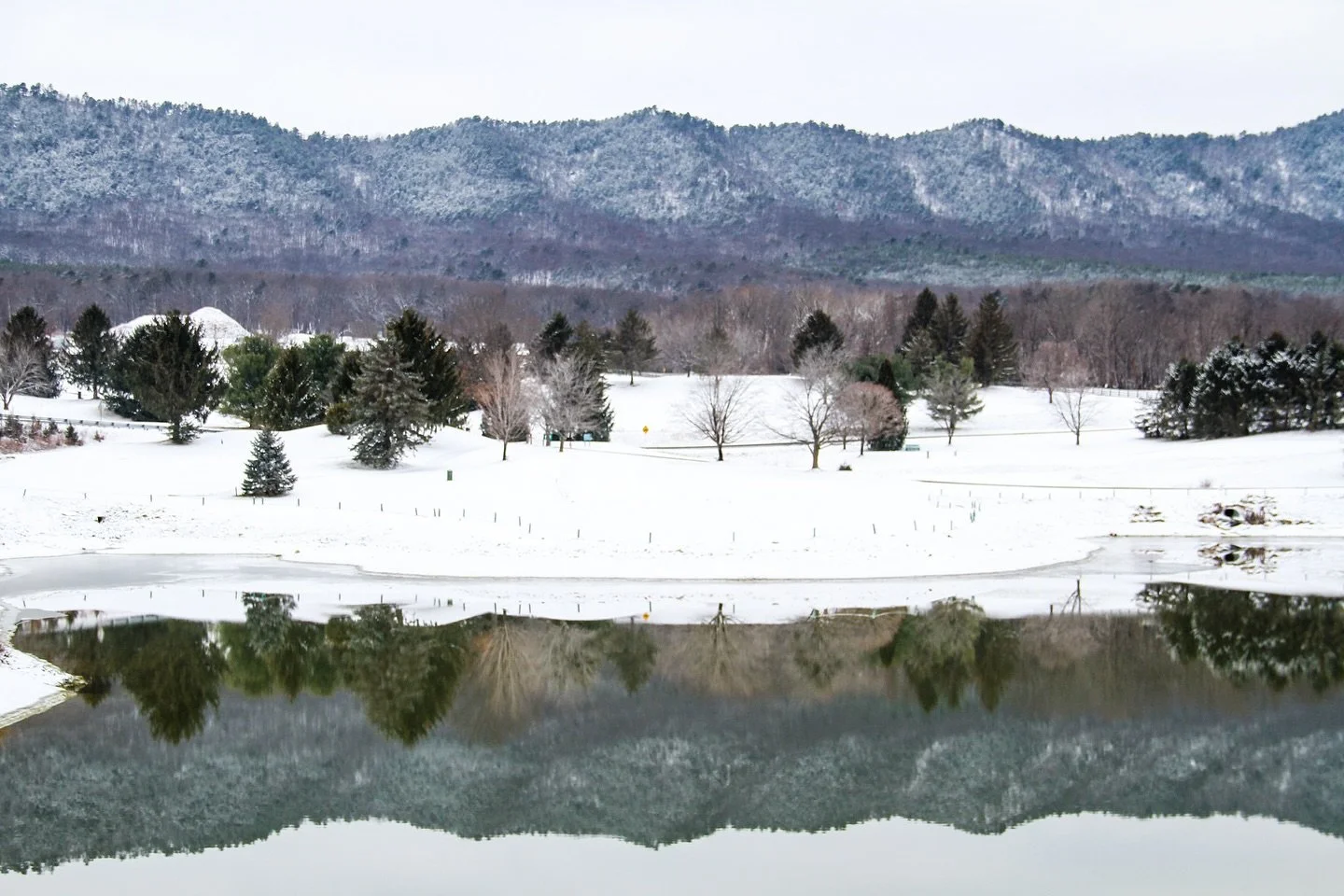 This Mondays snow put on quite the show to start off the week ❄️ 🏔️ ❄️