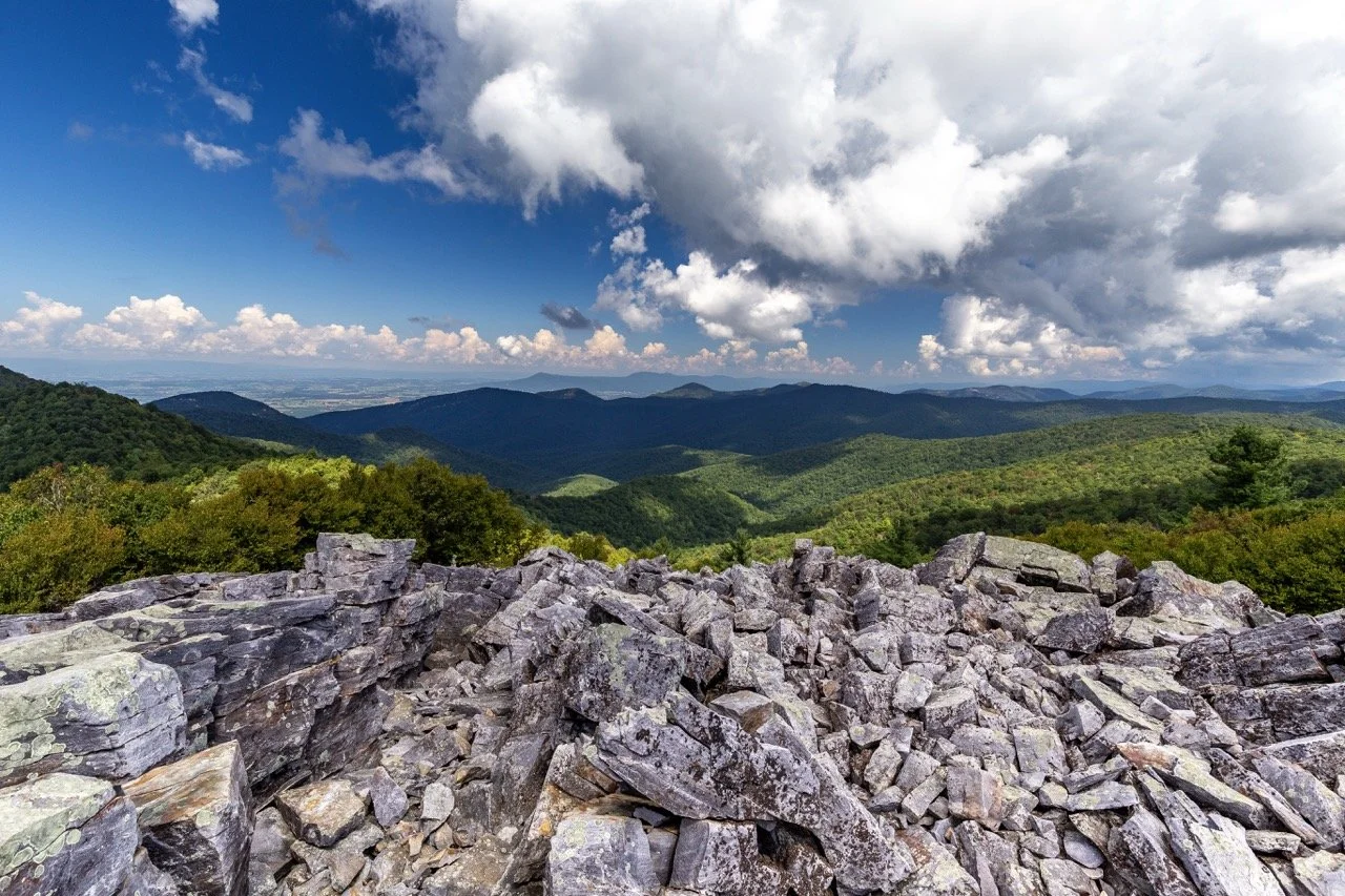 Spring into Scenic Views Around Rockingham County