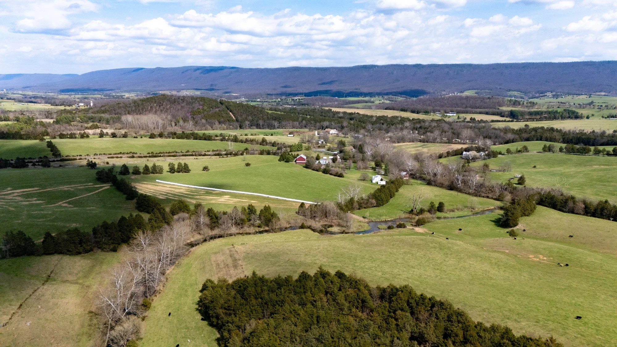 Tracing Our Roots: The Story of Rockingham County