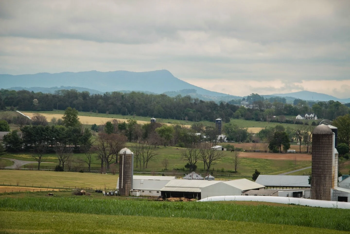 A little Spring scenery recap from different corners of Rockingham County 📸