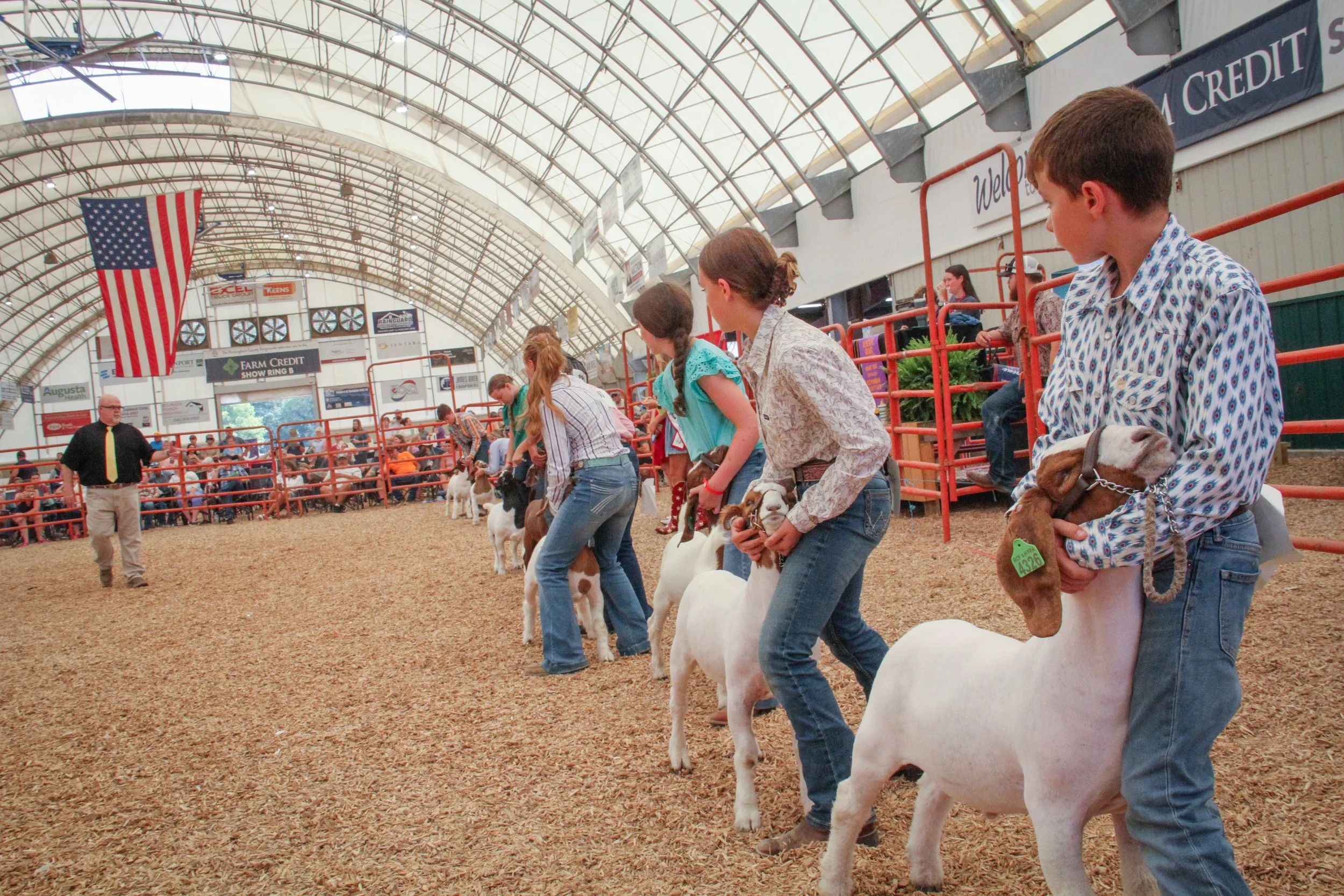 goats and owners lined up for judging at an agriculture exhibit