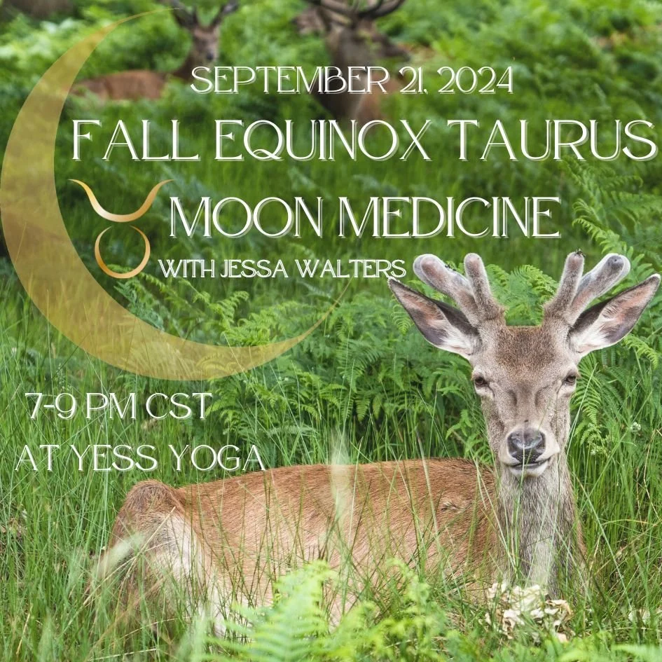Promotional image for a Fall Equinox event on September 21, 2024, titled "Moon Medicine" with Jessa Walters at Yess Yoga, featuring a deer in a grassy field.