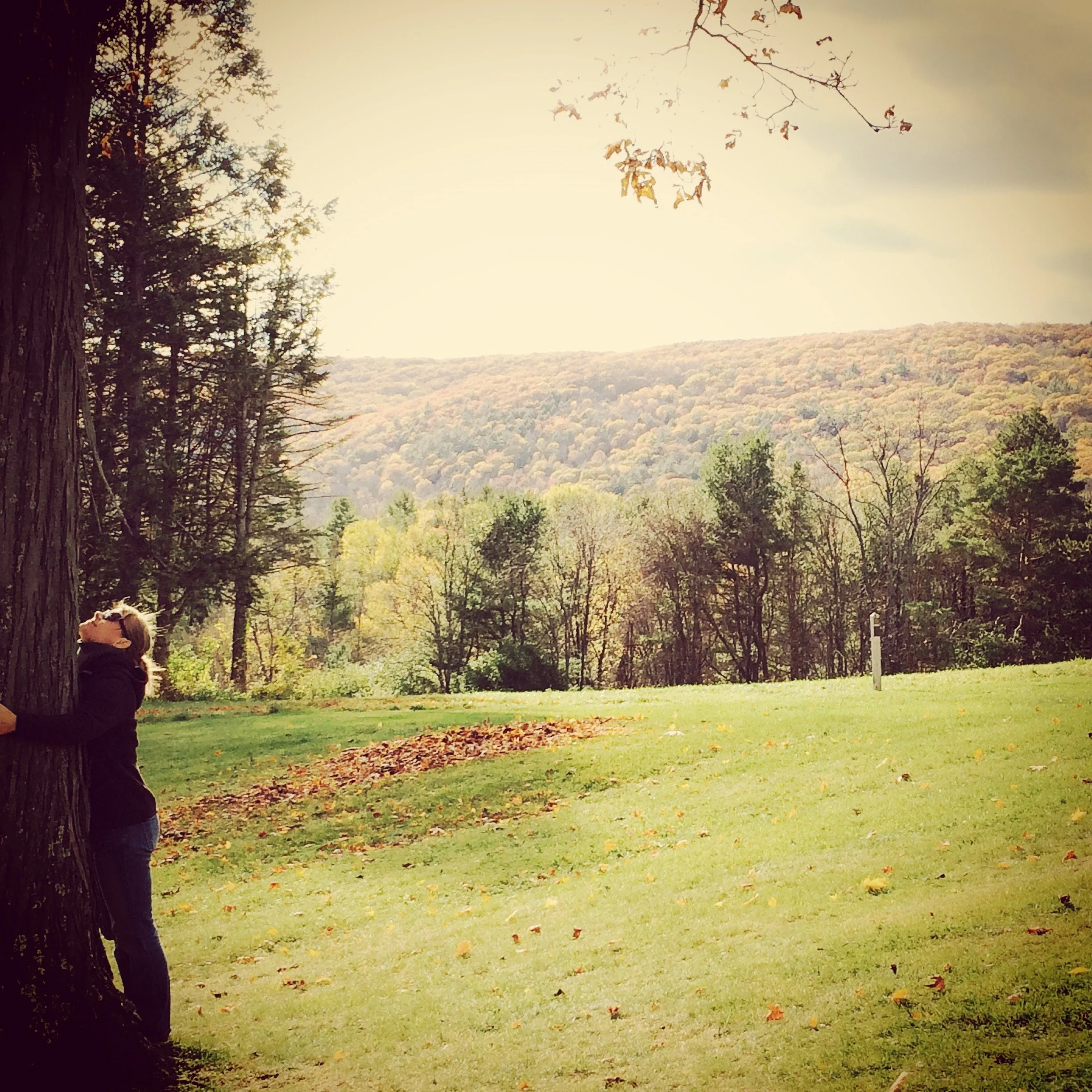 Jessa Hugging Tree Kripalu.JPG
