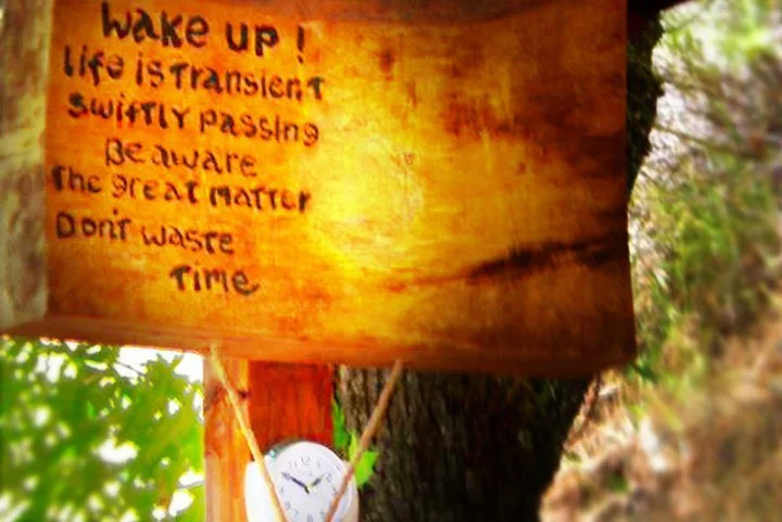 Wooden sign with engraved inspirational message and a clock hanging below on a tree in a forest.