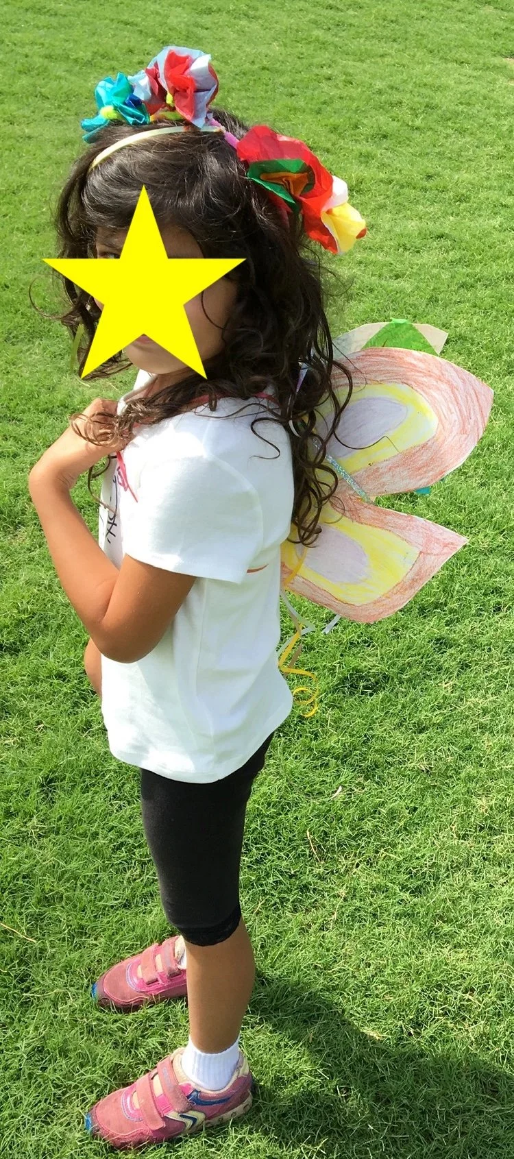 Flower Crown and Fairy Wings.JPG