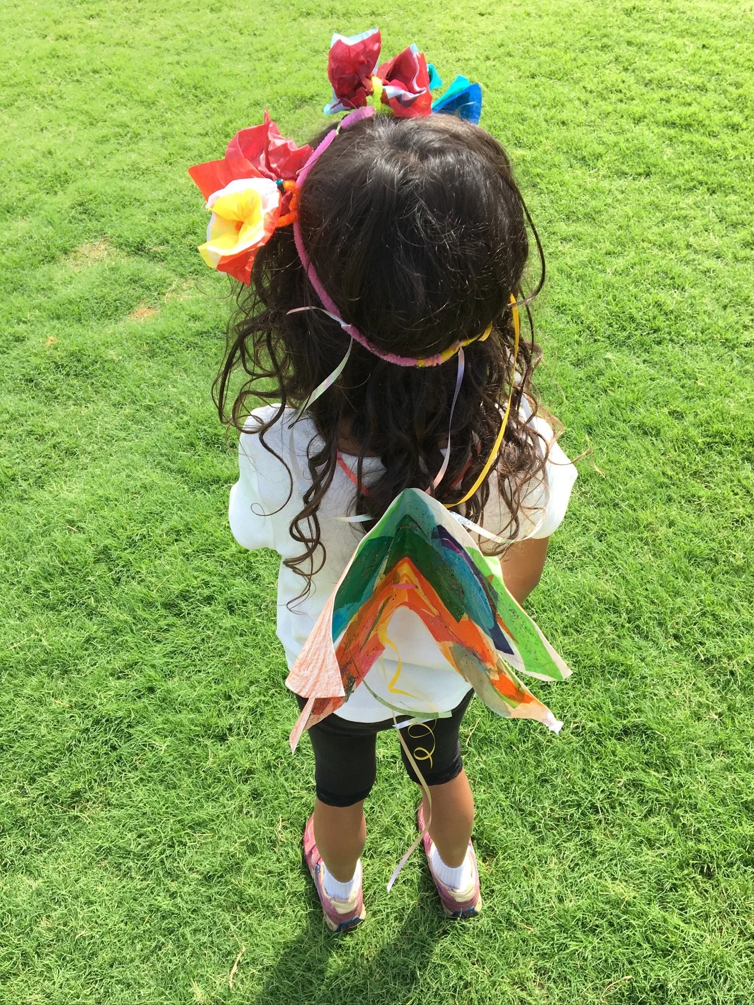 Flower Crown and Fairy Wings 4.JPG