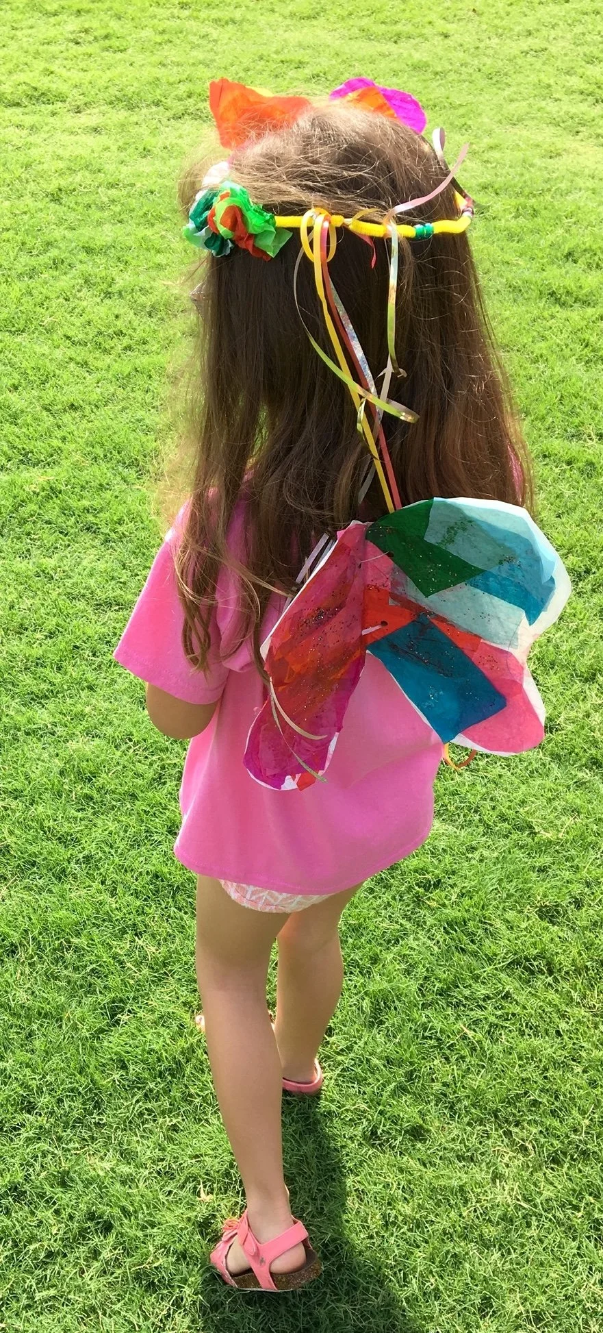 Flower Crown and Fairy Wings 2.JPG