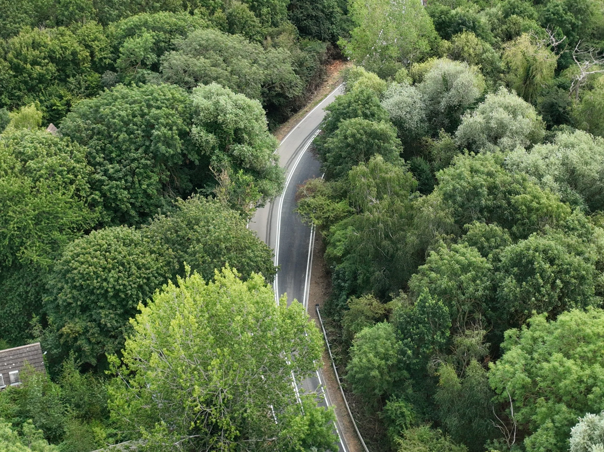DJI_20260728135618_0002_V.JPG