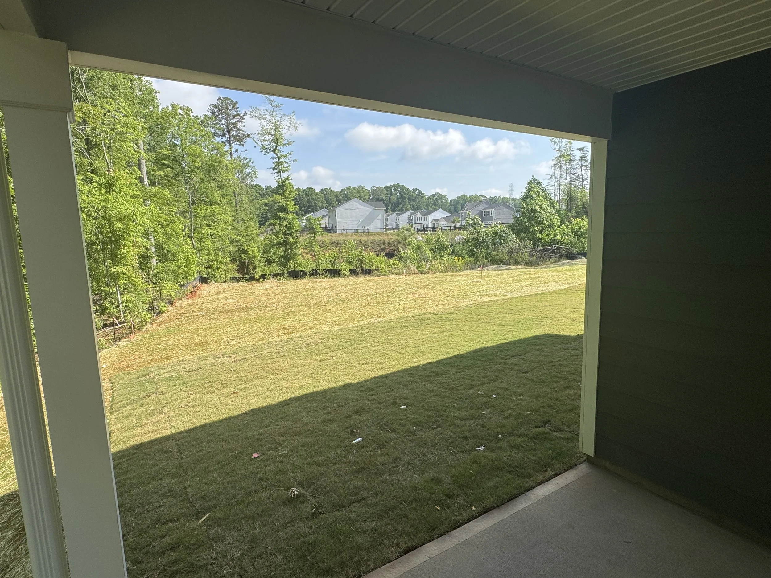 221 walnut hill backyard.jpeg