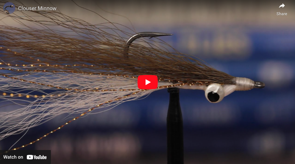 Step by Step Guide: Salt Water Fly Tying for Beginners Clouser Minnow