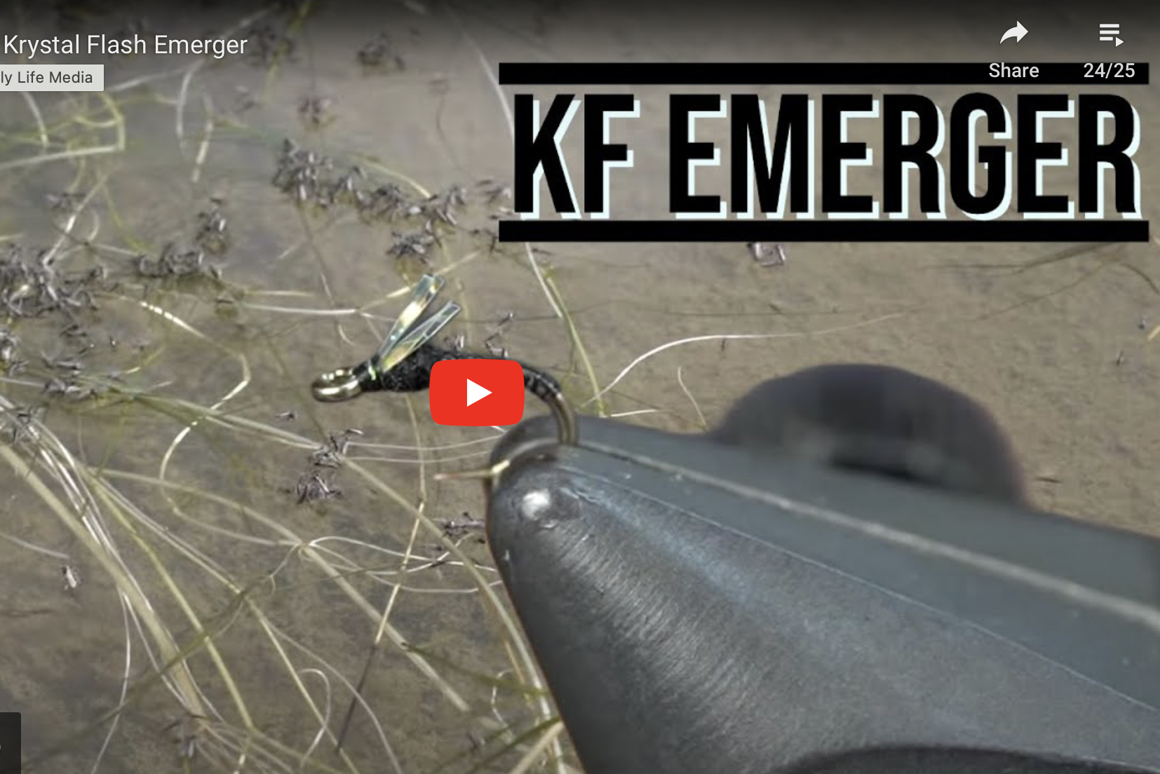 Steps by Step Guide: Fly Tying for Beginners The Krystal Flash Emerger